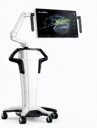 Real-time guidance platform